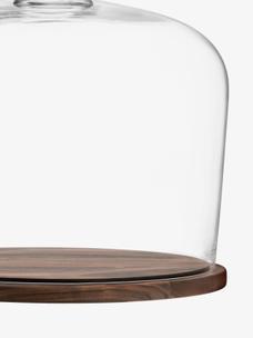 【Glass-roots】L.S.A dome LSA International Ivalo Dome and Ash Base | Unison