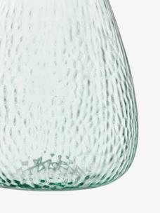 Vase H25cm, Clear | Canopy Seed | LSA Interior