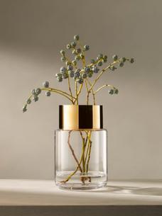 LSA エルエスエー Aurum Vase / Lantern クリア LAV03 G1746-20-358 高さ20cm / フラワーベース 花器 花瓶 キャンドルホルダー