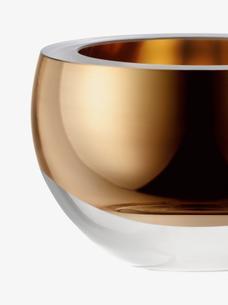 Host Collection | LSA International