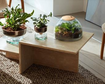 Closed Garden H22cm, Clear/Cork | Canopy Collection | LSA Interior