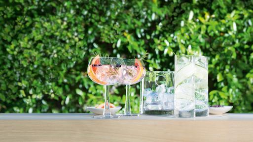 Lsa 2025 gin glasses
