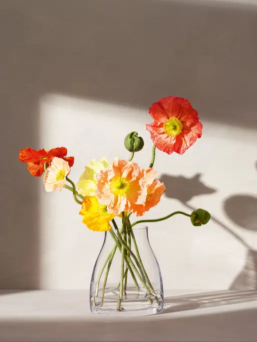LSA international 花瓶　vase Vase H25cm, Clear | Canopy Seed | LSA Interior