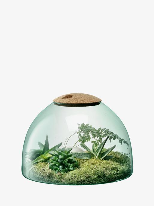 Closed Garden H8.5in, Clear/cork | Canopy | LSA Interior