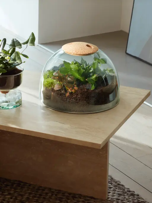 Closed Garden H8.5in, Clear/cork | Canopy | LSA Interior
