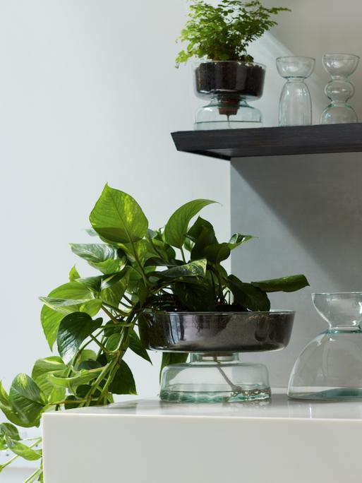 在庫一掃セール LSA (エルエスエー) Canopy Planter H13.5cm Recycled